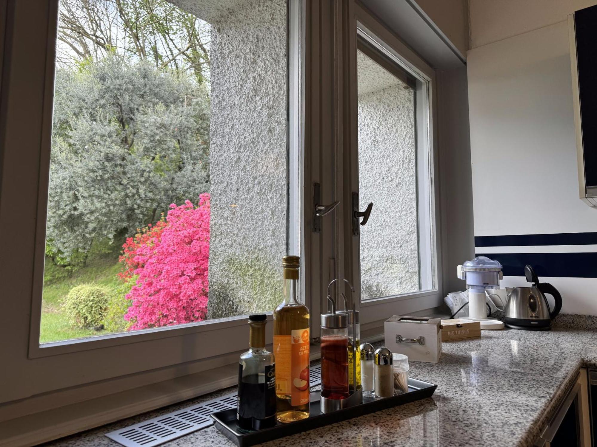 Villa Rossini Tavernerio エクステリア 写真