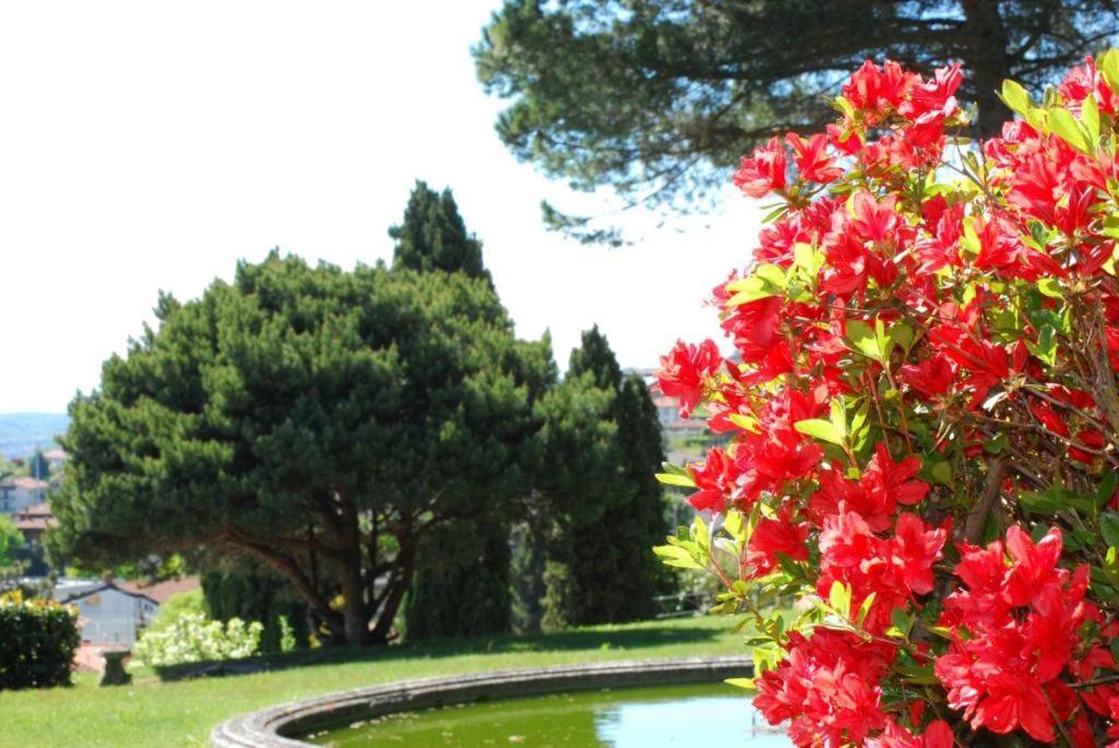 Villa Rossini Tavernerio エクステリア 写真