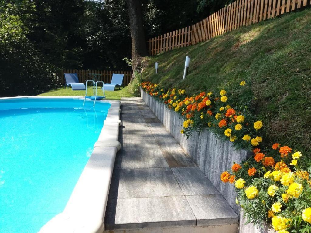 Villa Rossini Tavernerio エクステリア 写真
