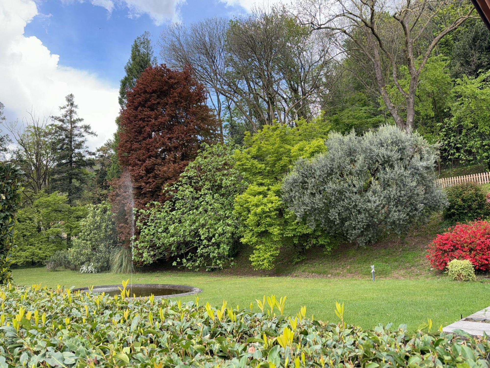Villa Rossini Tavernerio エクステリア 写真
